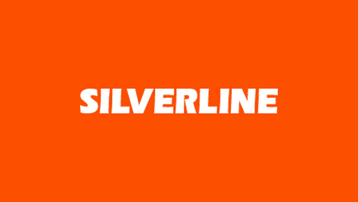 silverline-endustri-ve-ticaret-a-s