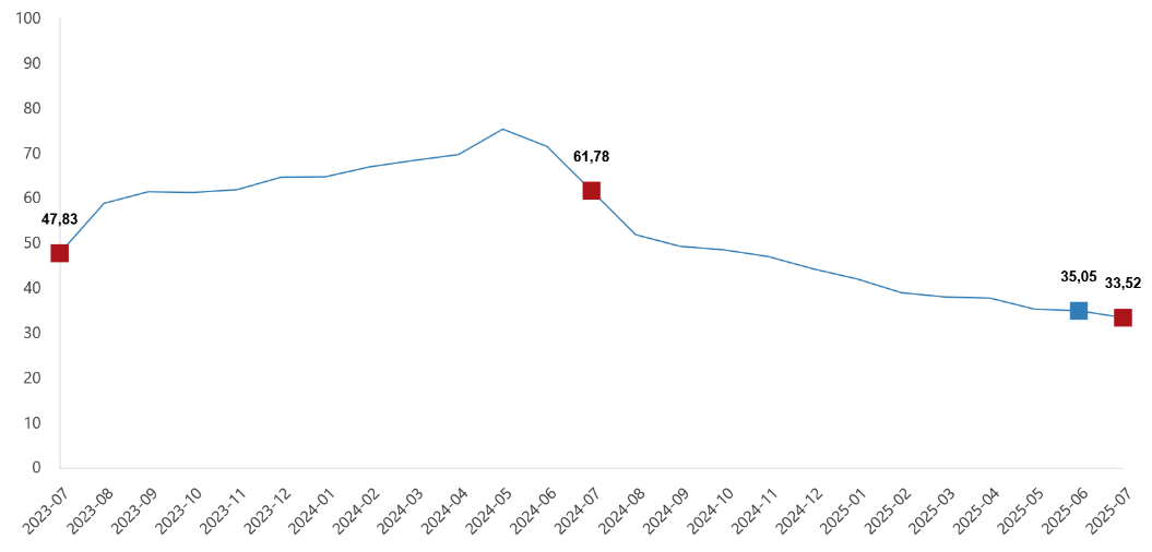 tufe-tuketici-fiyat-endeksi-temmuz-2025-b