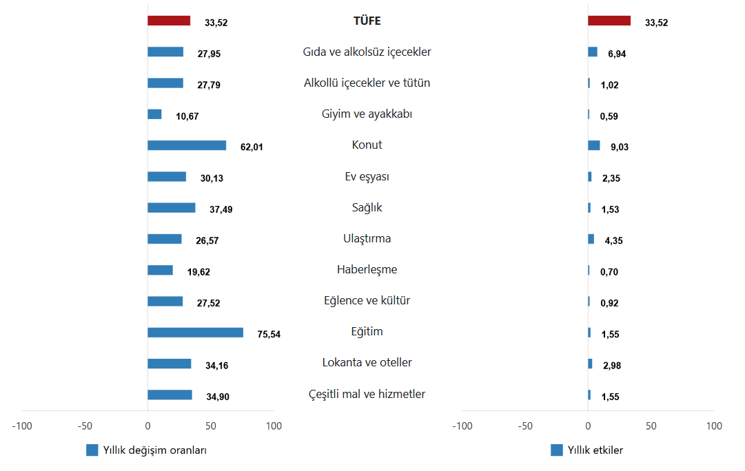 tufe-tuketici-fiyat-endeksi-temmuz-2025-c