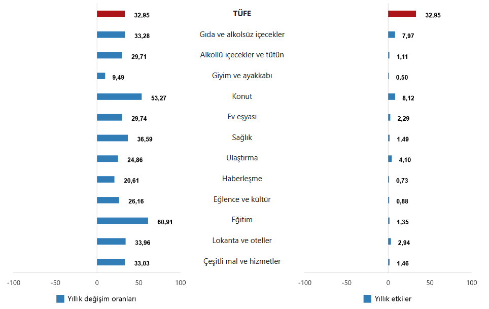 tuketici-fiyat-endeksi-agustos-2025-c
